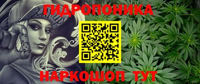 шишки Нарткала