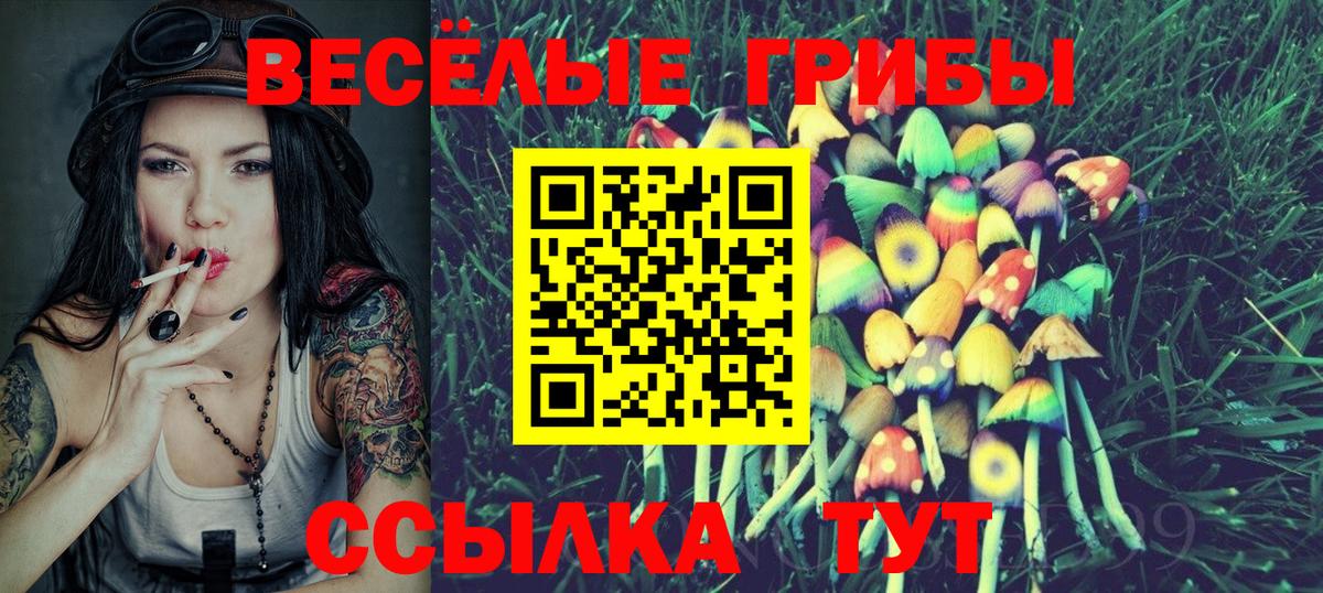 Галлюциногенные грибы ЛСД  Вход с VPN  Тамбов 